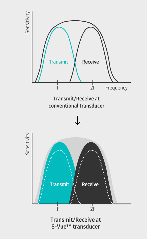 S-Vue transducer Sample